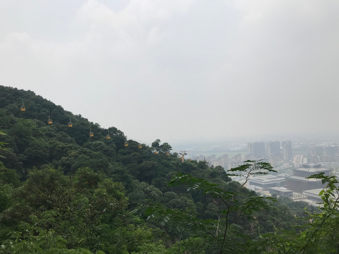 西樵山景点图片