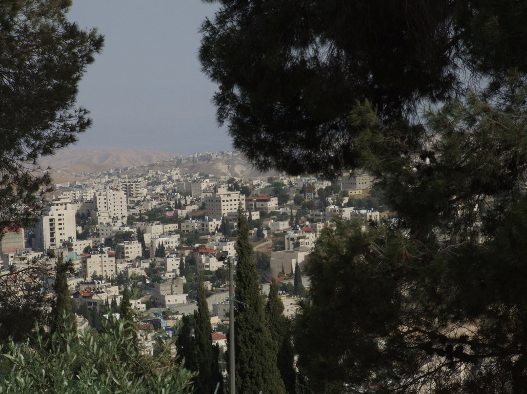 Hotel 7 Arches Jerusalem主图