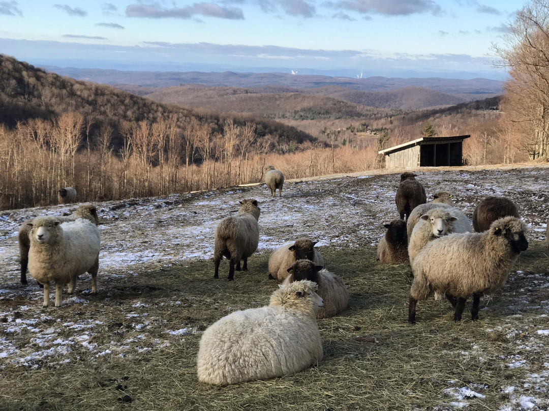 Merck Forest & Farmland Center-Rupert必去景点
