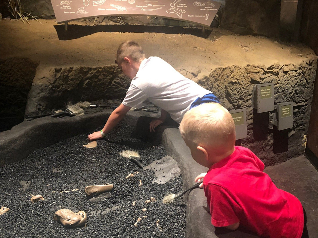 Hands On! Discovery Center at Gray Fossil Site-约翰逊城必去景点