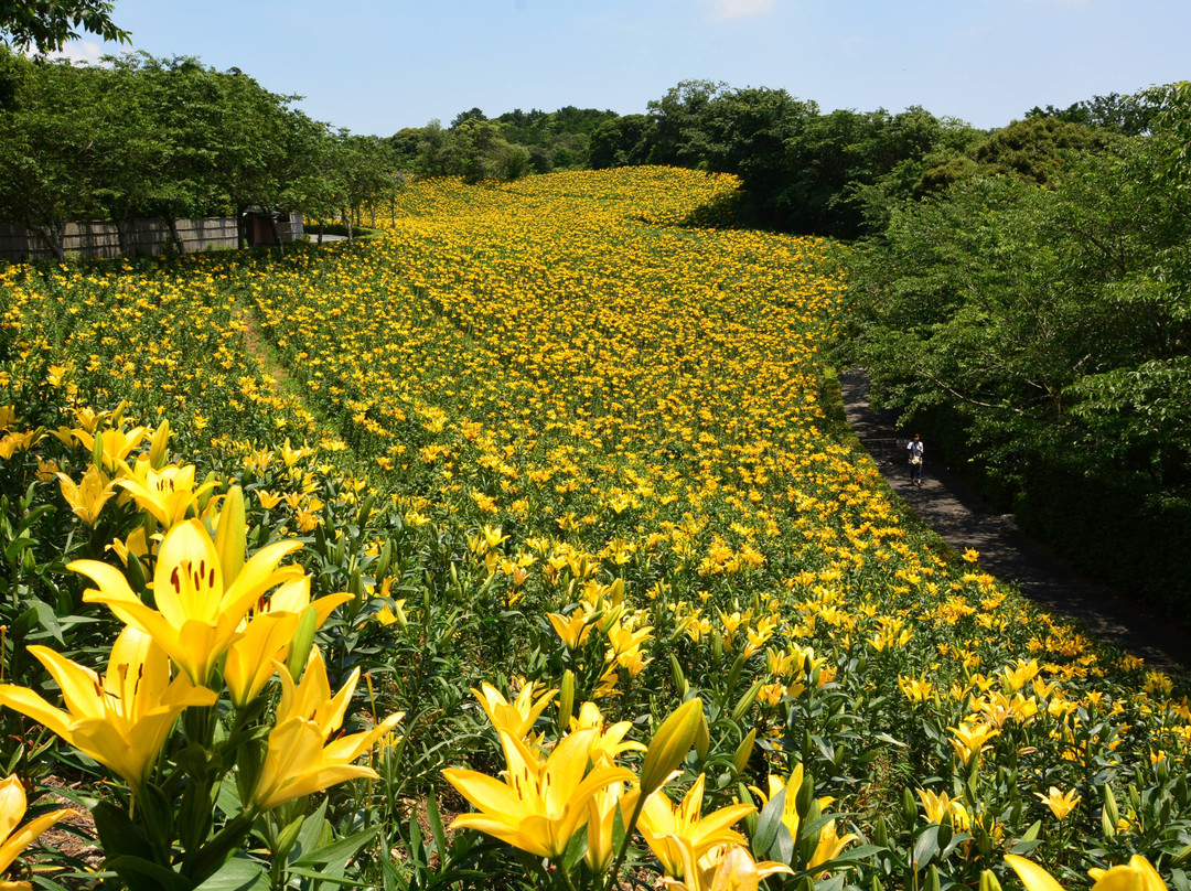 袋井市旅游攻略图片