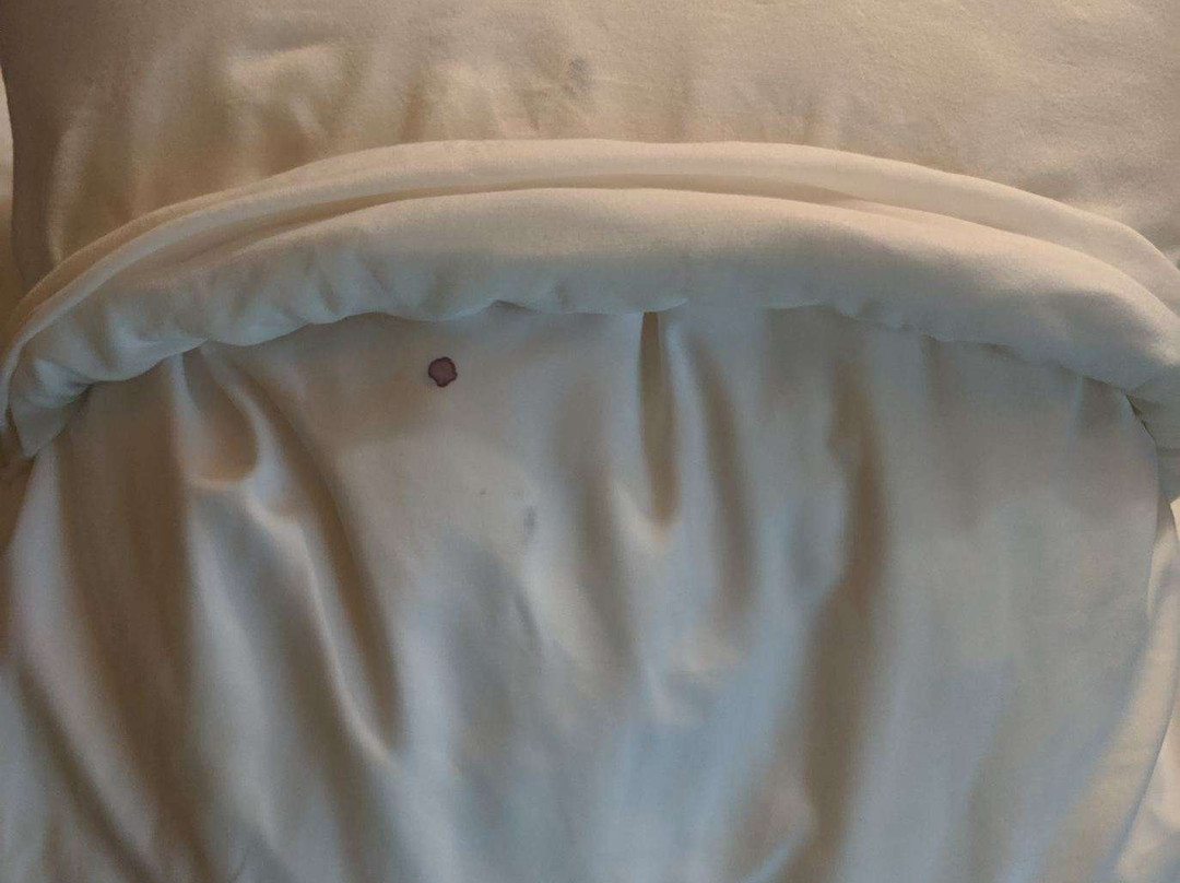 Baymont by Wyndham South Haven主图