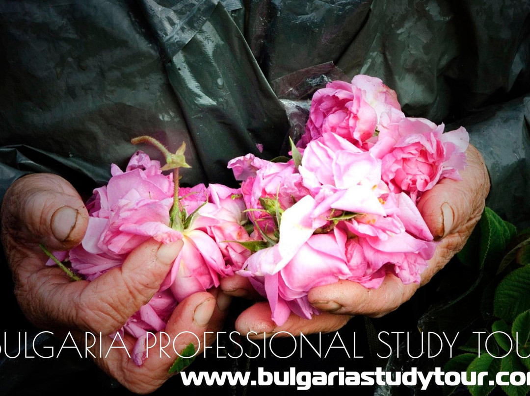 Bulgaria Study Tour景点图片