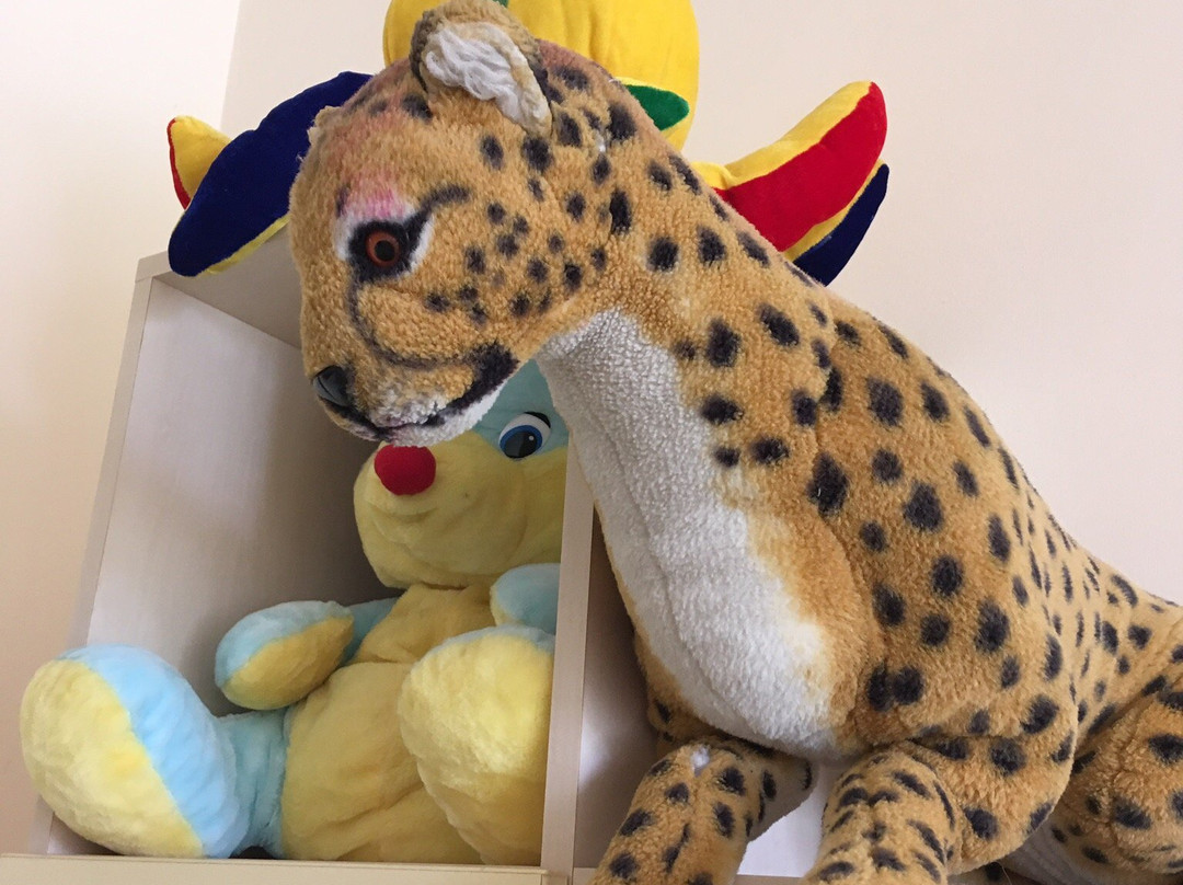 Q Resort and Spa主图