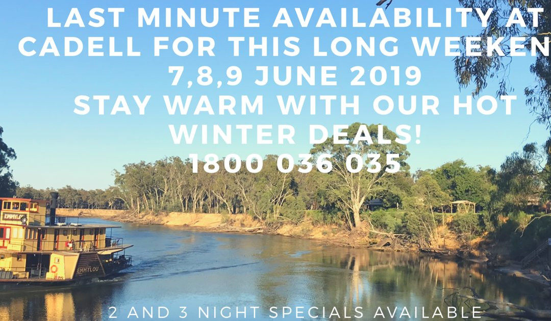 卡德尔对美利酒店主图