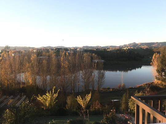 Willow's Green主图