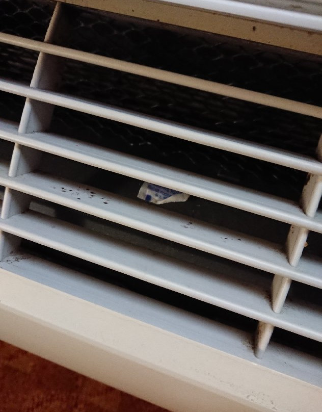 Best Western Lakewood Inn主图