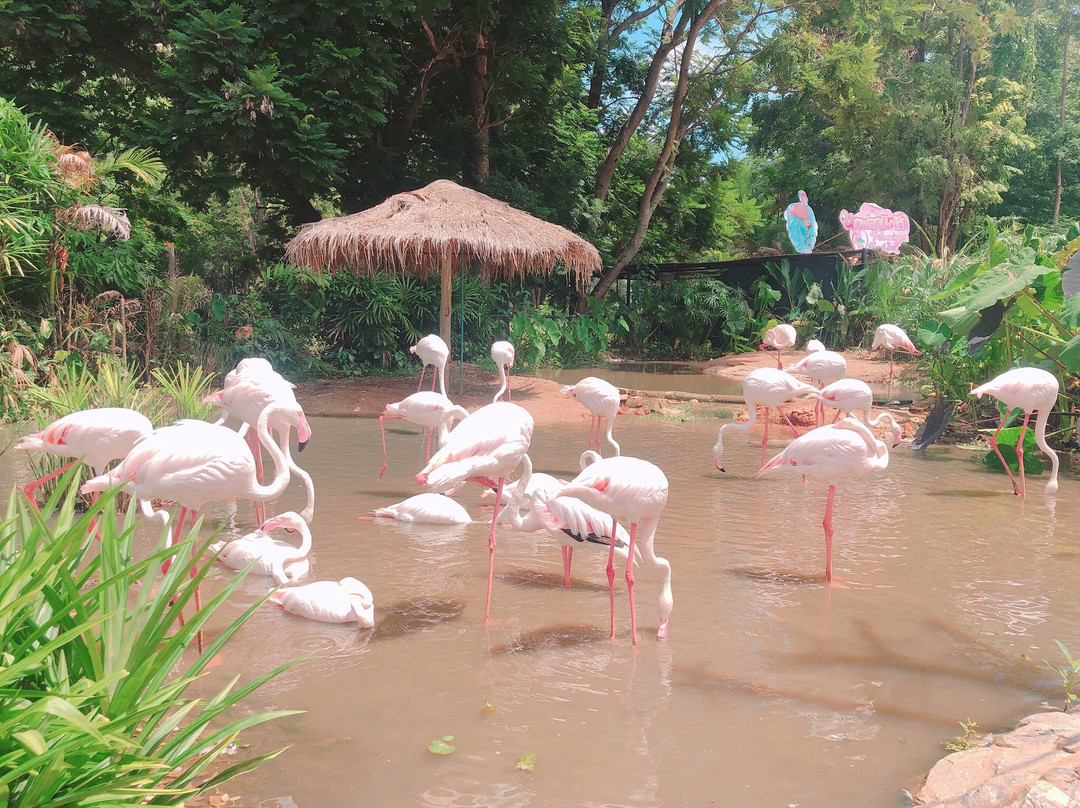 Nakhon Ratchasima Zoo景点图片