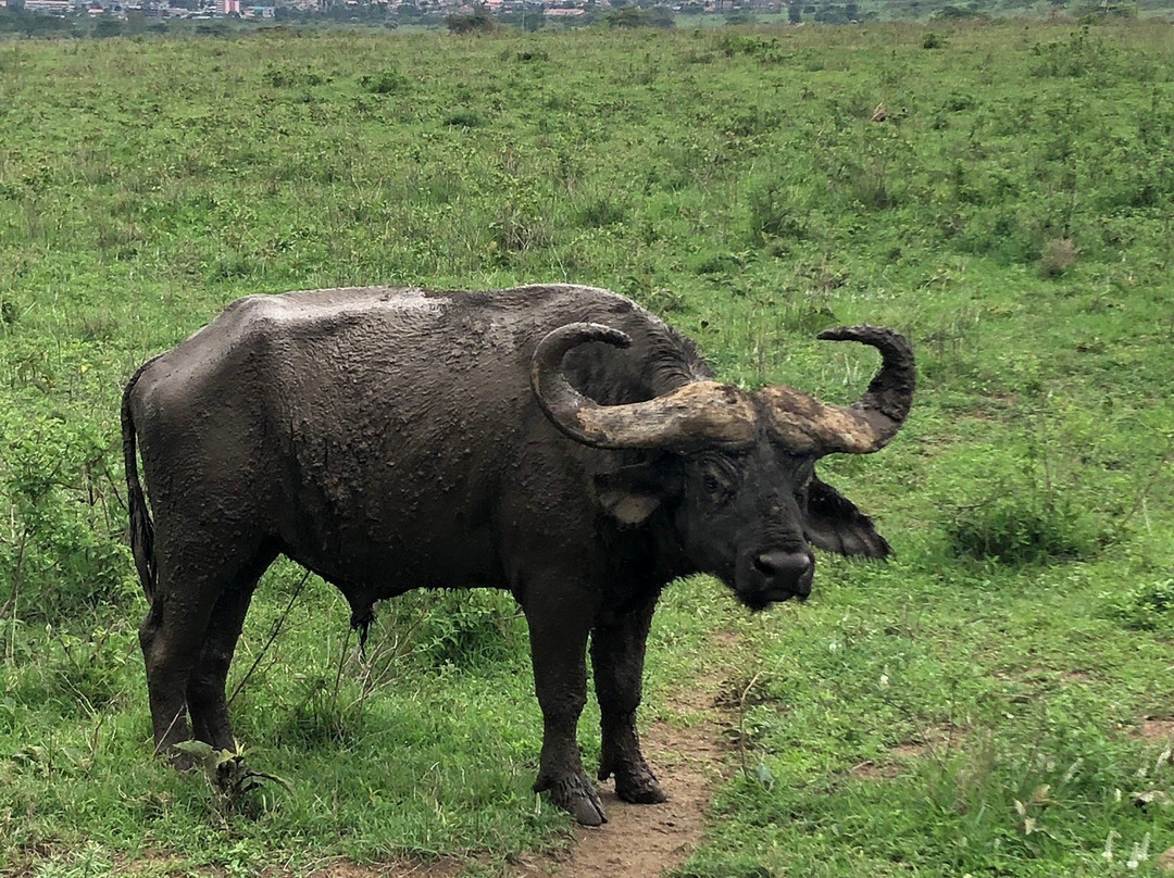 兰纳特马特法姆度假酒店主图