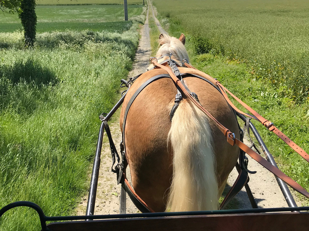 Le Haras des Ouches景点图片