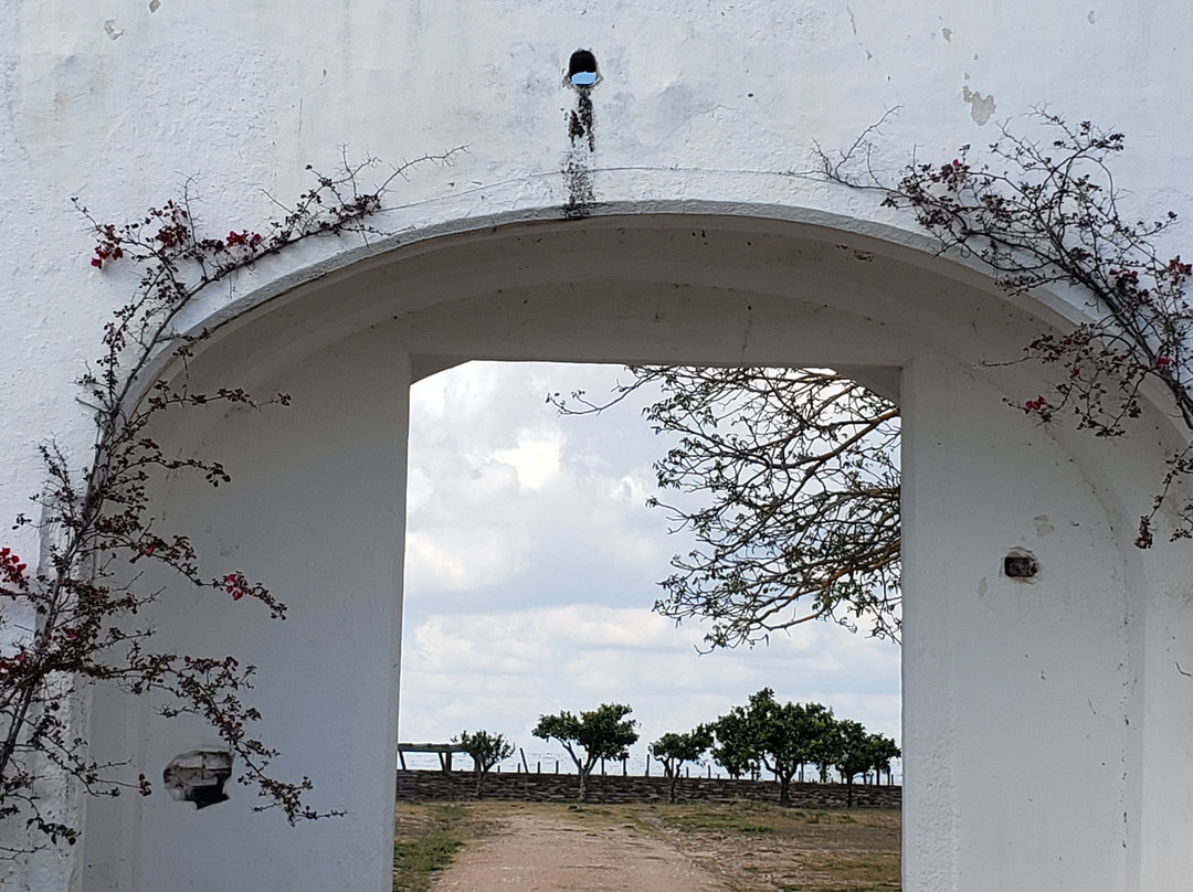 Capela de Nossa Senhora dos Remédios景点图片