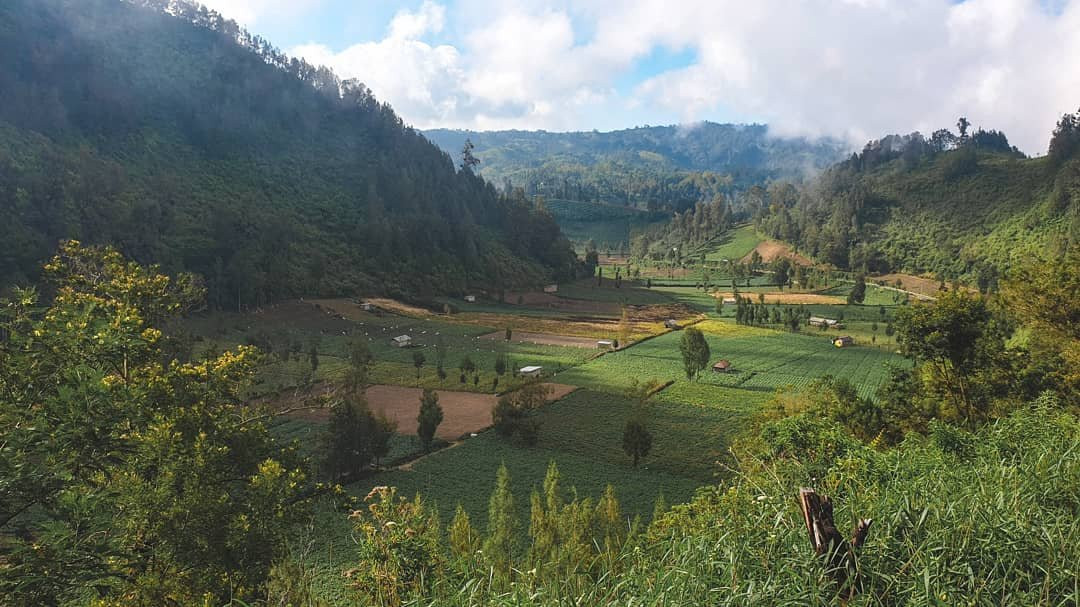 Base Camp Adventure Company-Depok必去景点