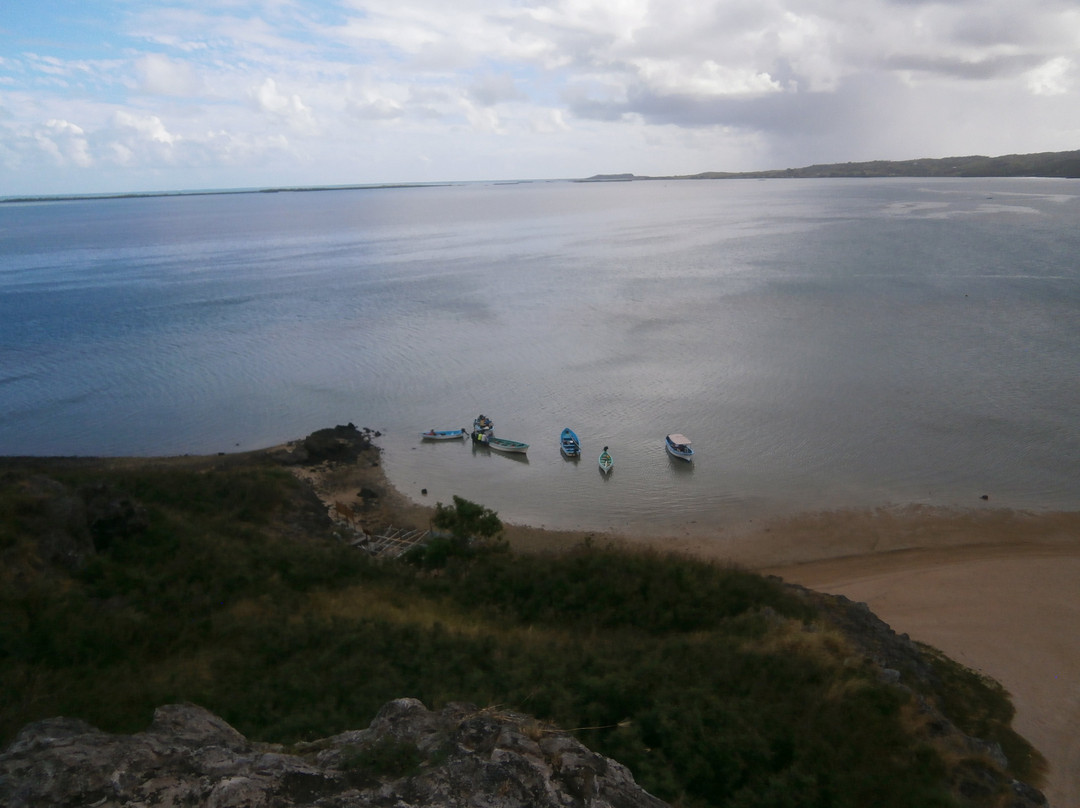 Hermitage Island景点图片