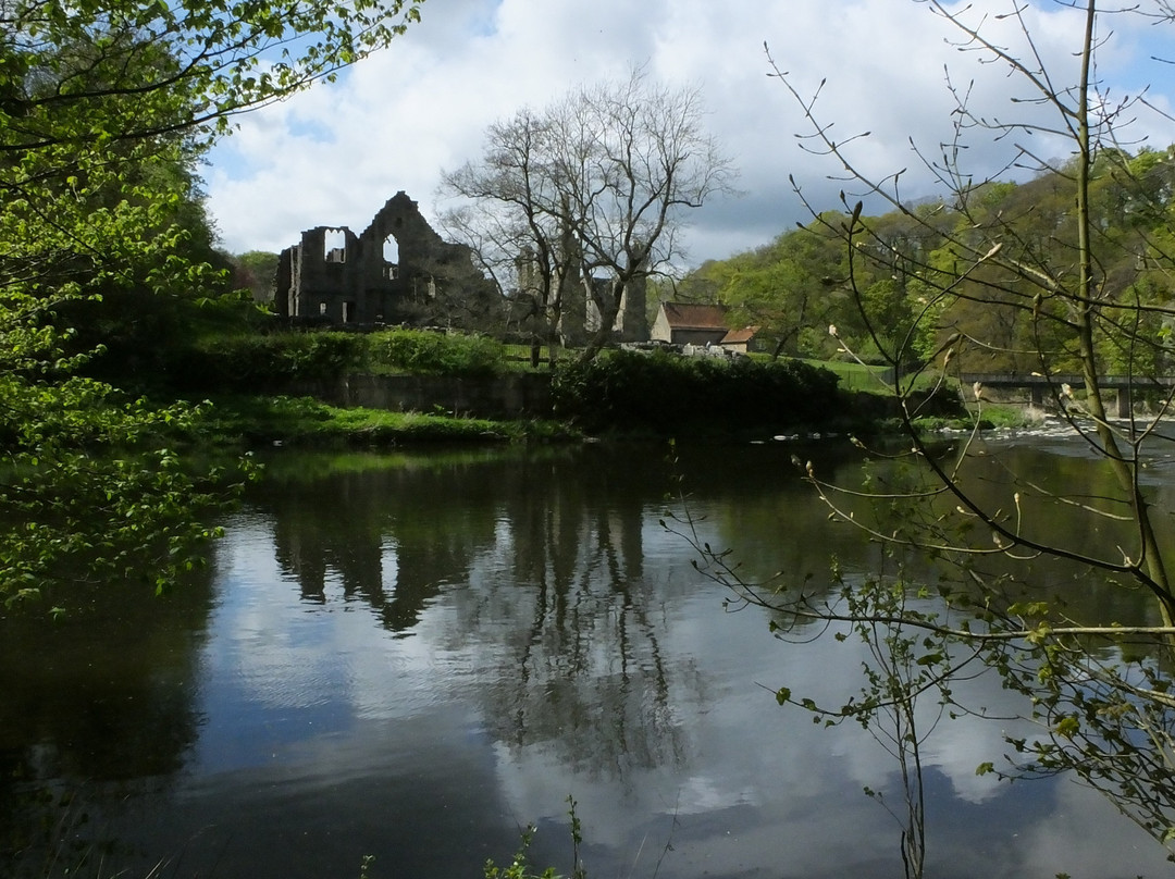 Finchale Priory景点图片