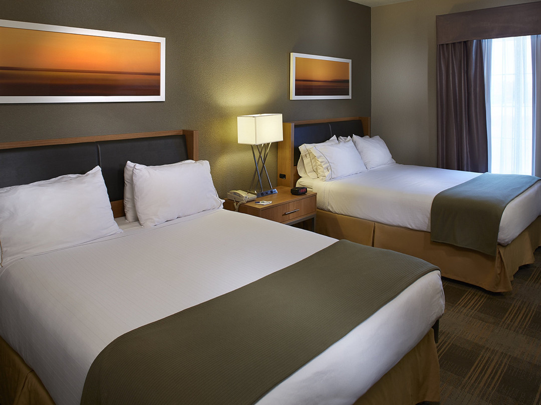 Holiday Inn Express & Suites Orangeburg By IHG主图