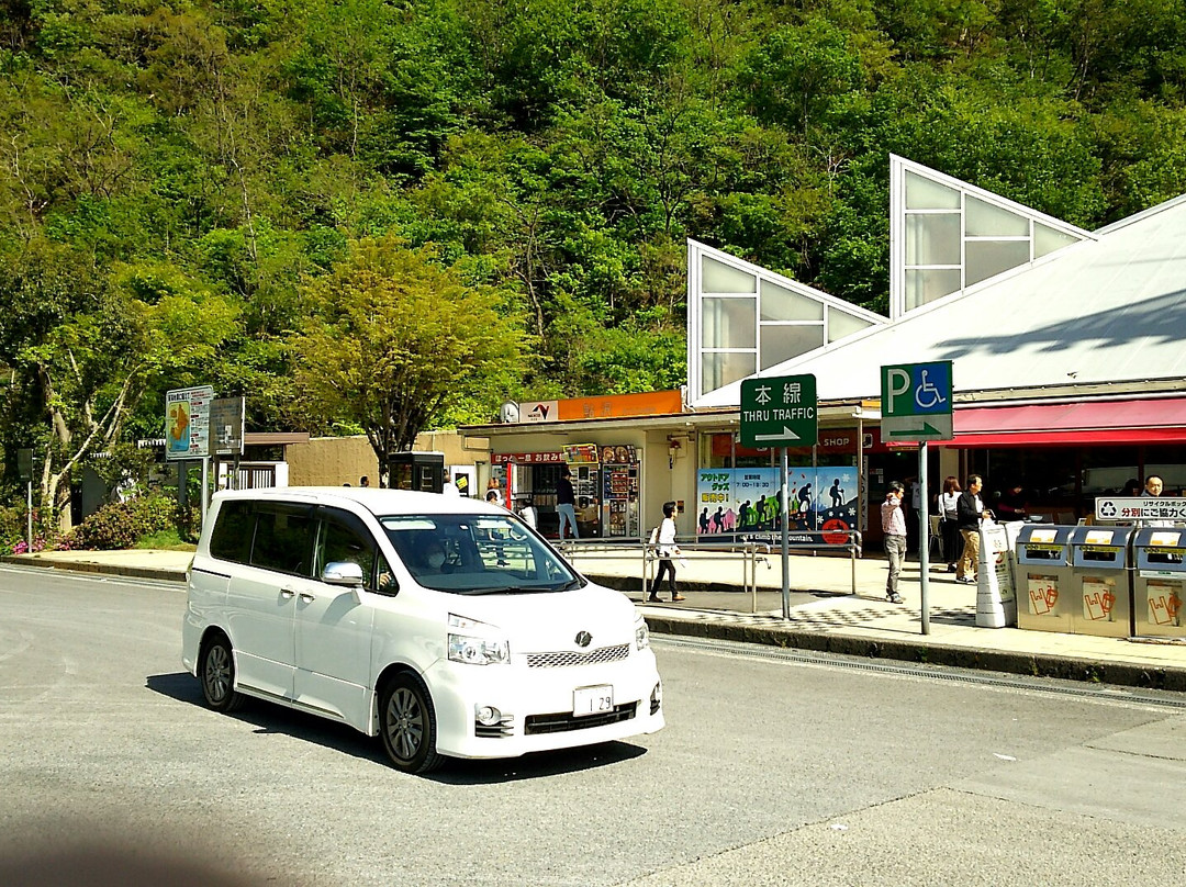 Ayuzawa Parking Area Outbound景点图片