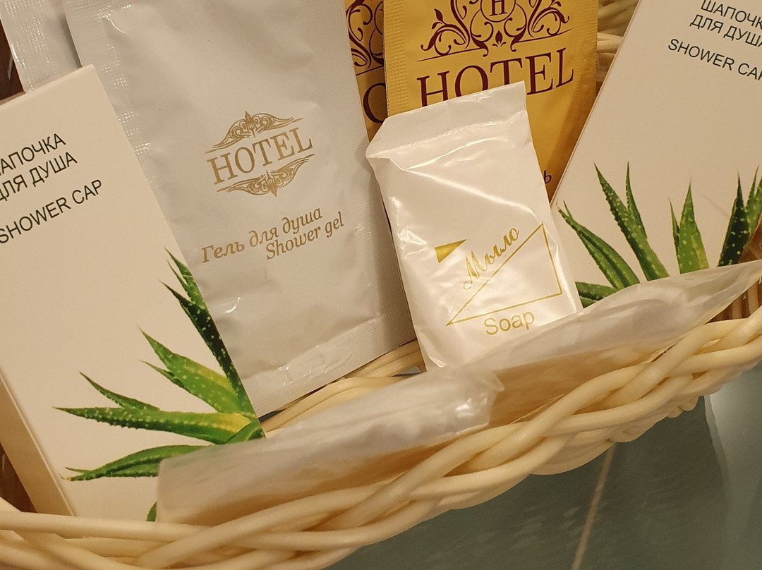 Petrovsky Hotel主图
