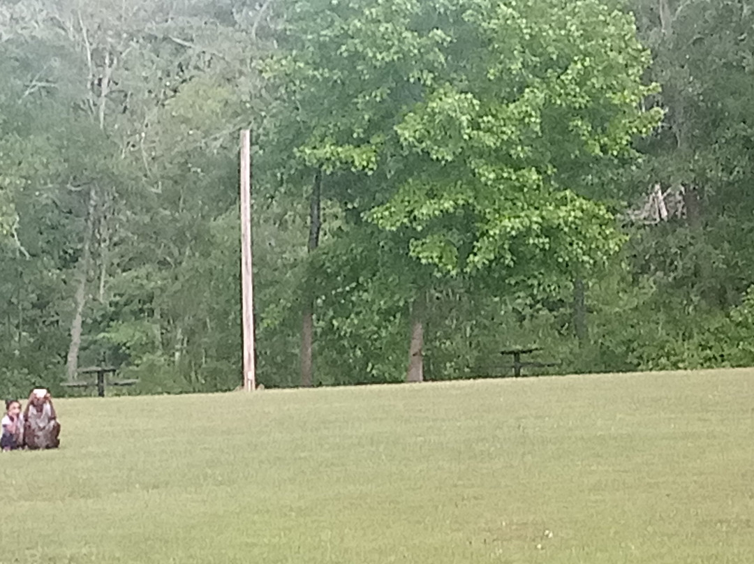 Boyd Pond Park-艾肯必去景点
