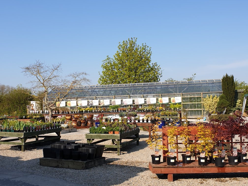 Paddock Farm Nursery & Water Gardens-达灵顿必去景点