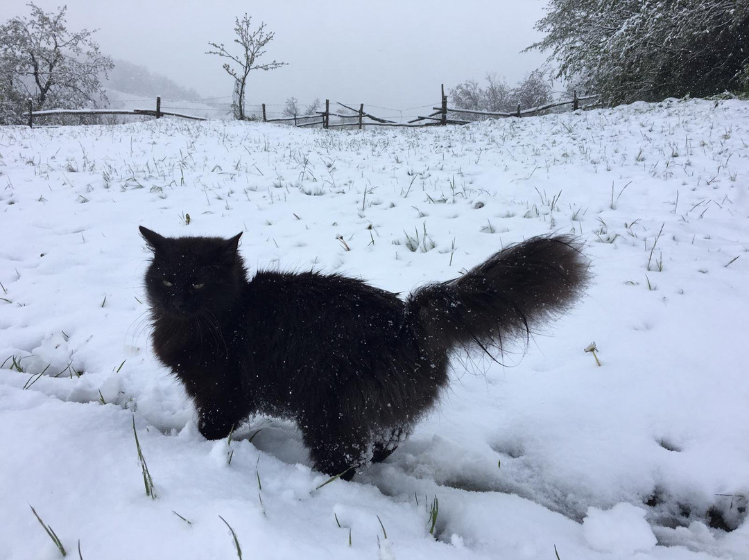 Marsaglia旅游攻略图片