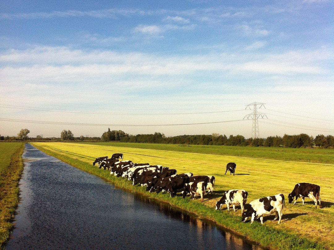 Organic Cheesefarm, Ruyge Weyde-Oudewater必去景点
