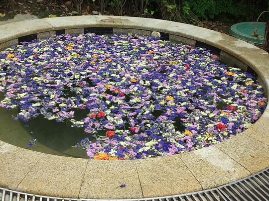 温江温泉智选假日酒店主图