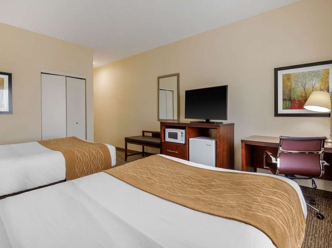 Comfort Inn & Suites Camden主图