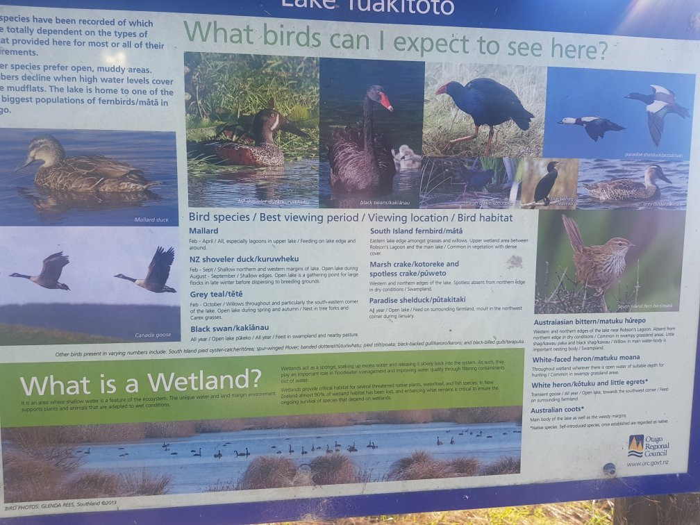 Lake Tuakitoto景点图片