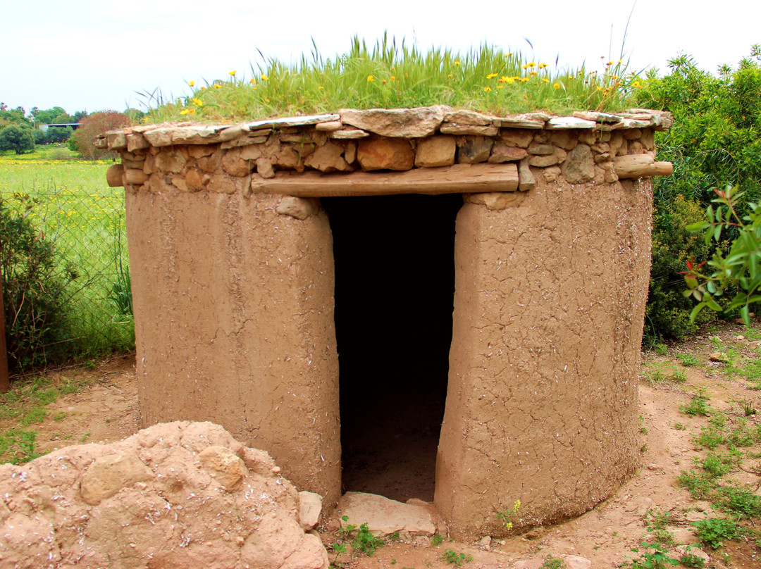 Lempa Chalcolithic Village-帕福斯必去景点