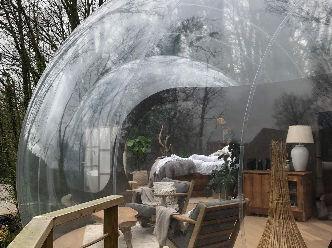 The Bubble