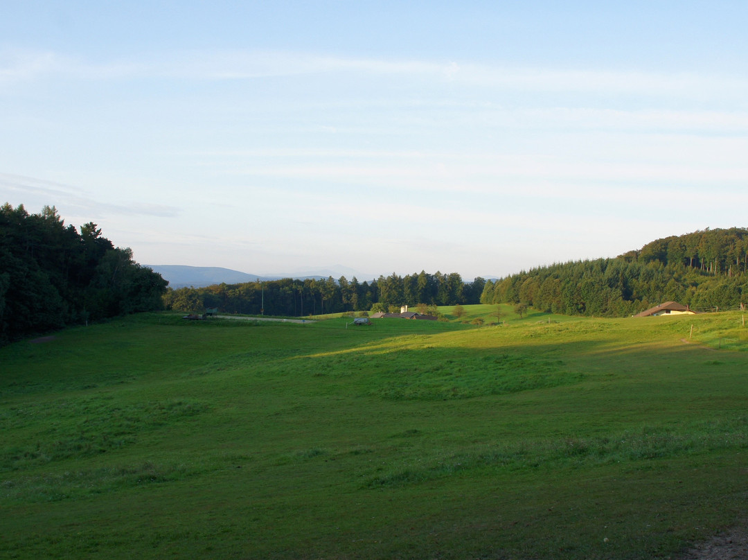Biosphärenpark Wienerwald-Tullnerbach必去景点