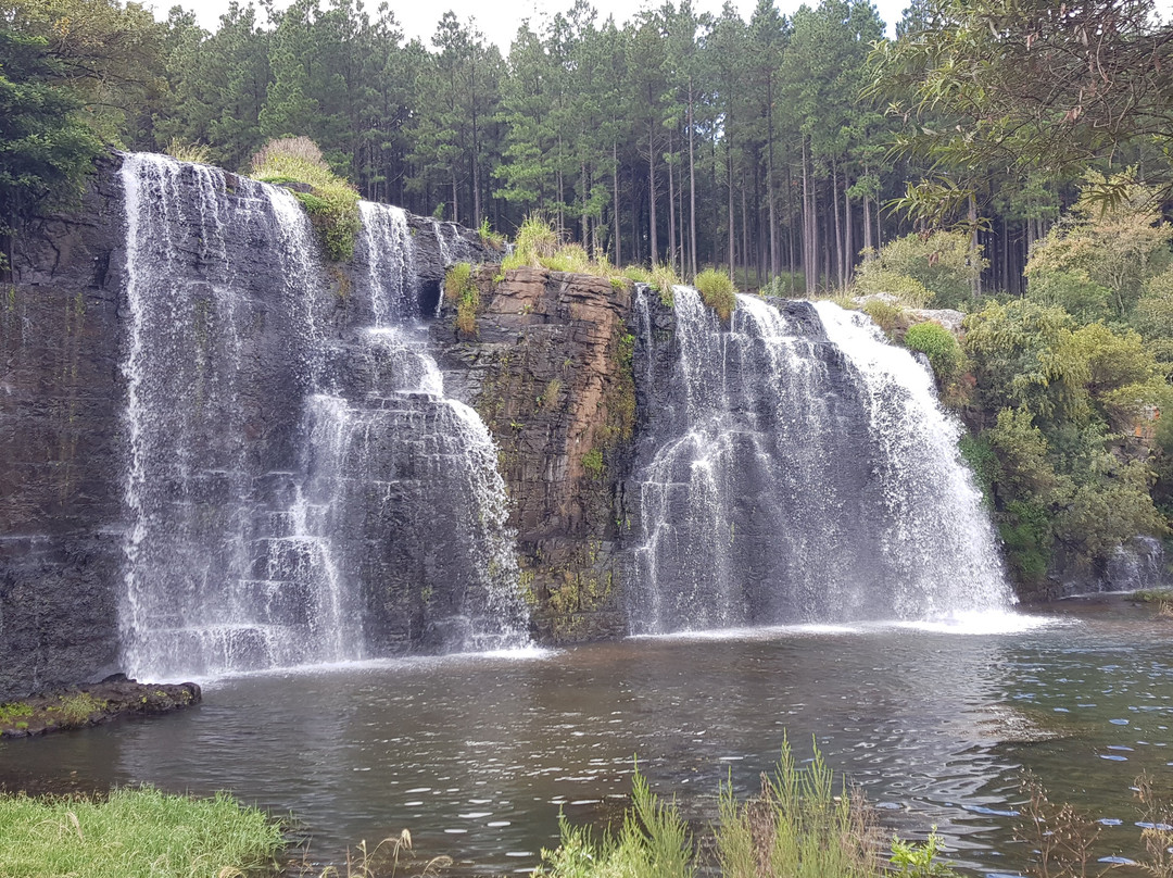 Forest Falls Nature Walk-沙比必去景点