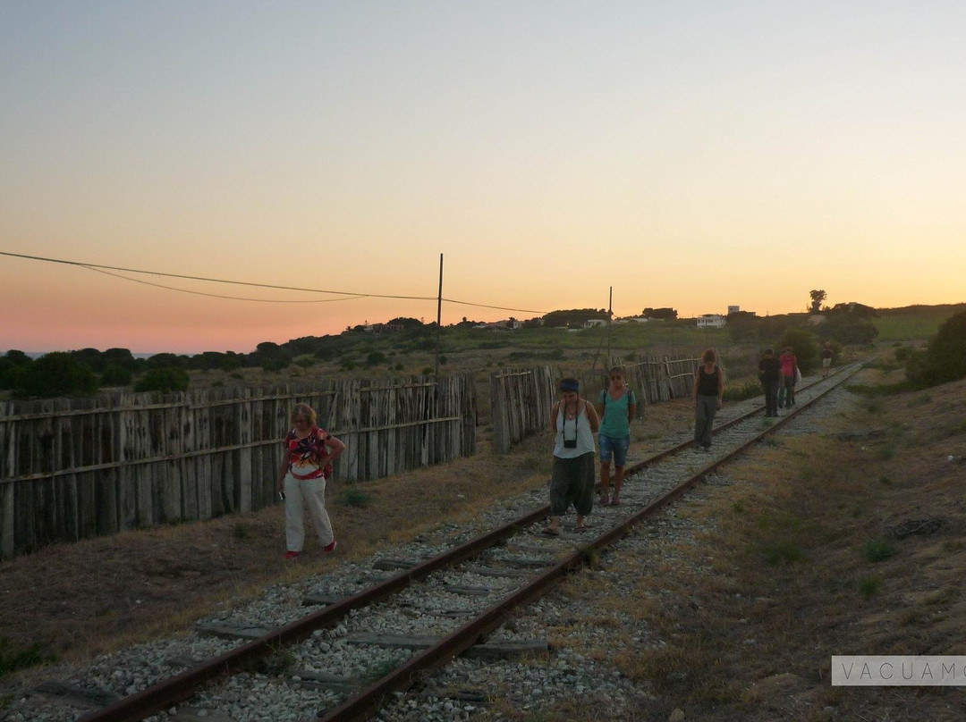 VacuaMoenia - Passeggiare in ascolto del paesaggio-巴勒莫必去景点