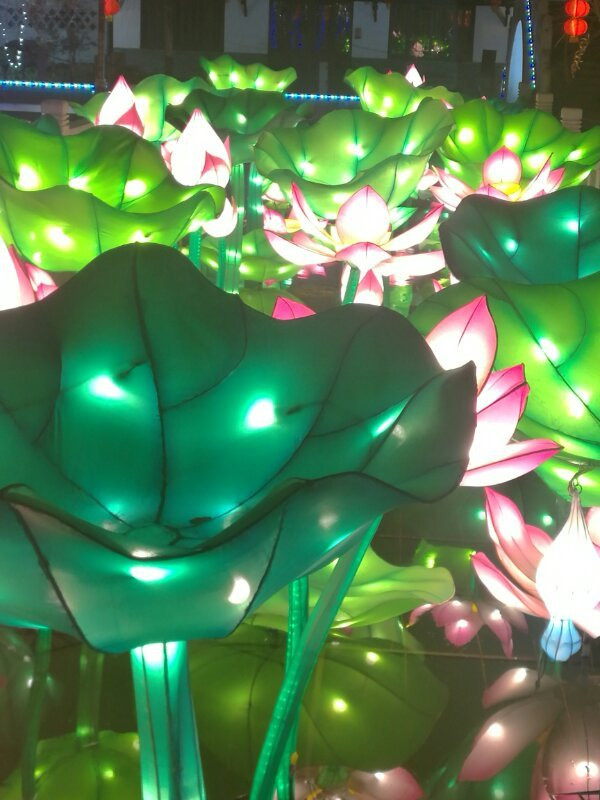 龙海天-湛江市必去景点