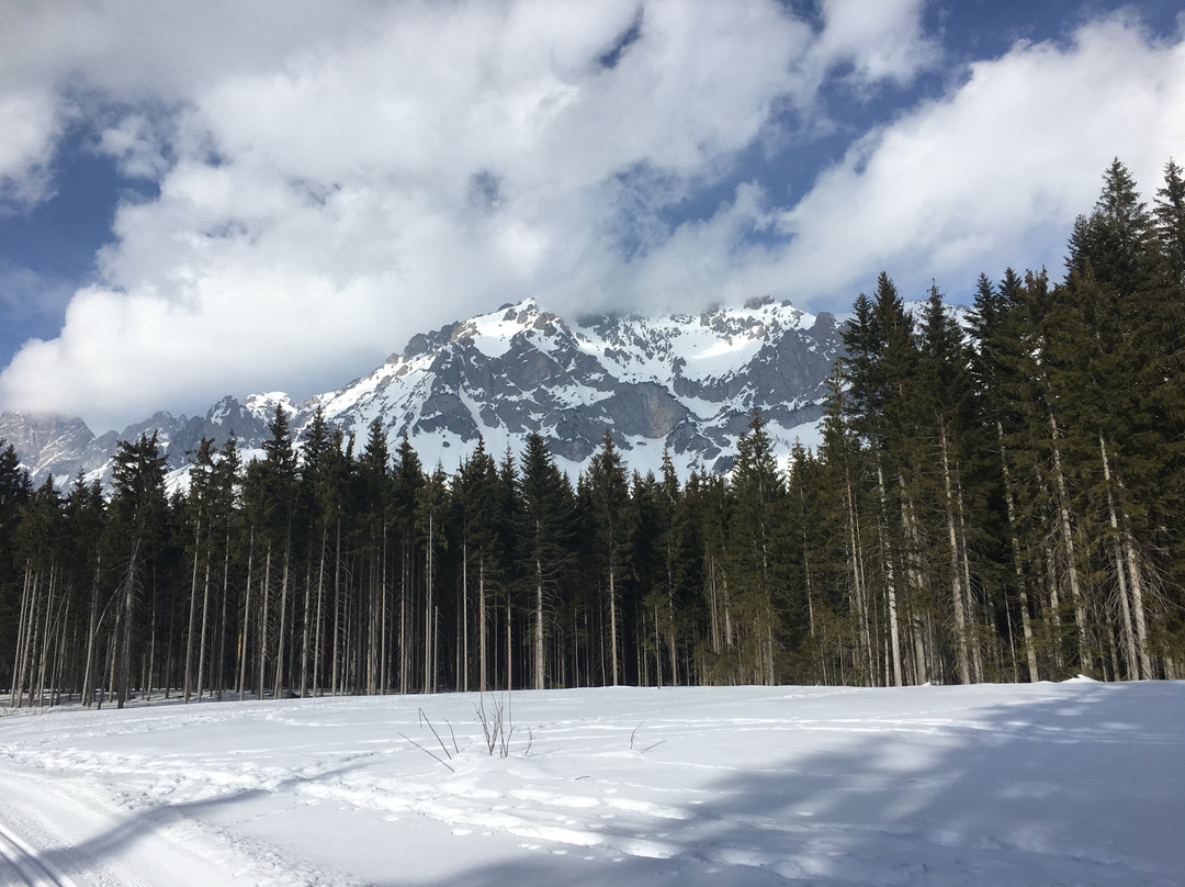 Alpincenter Dachstein, Ski- & Langlaufschule-阮绍必去景点