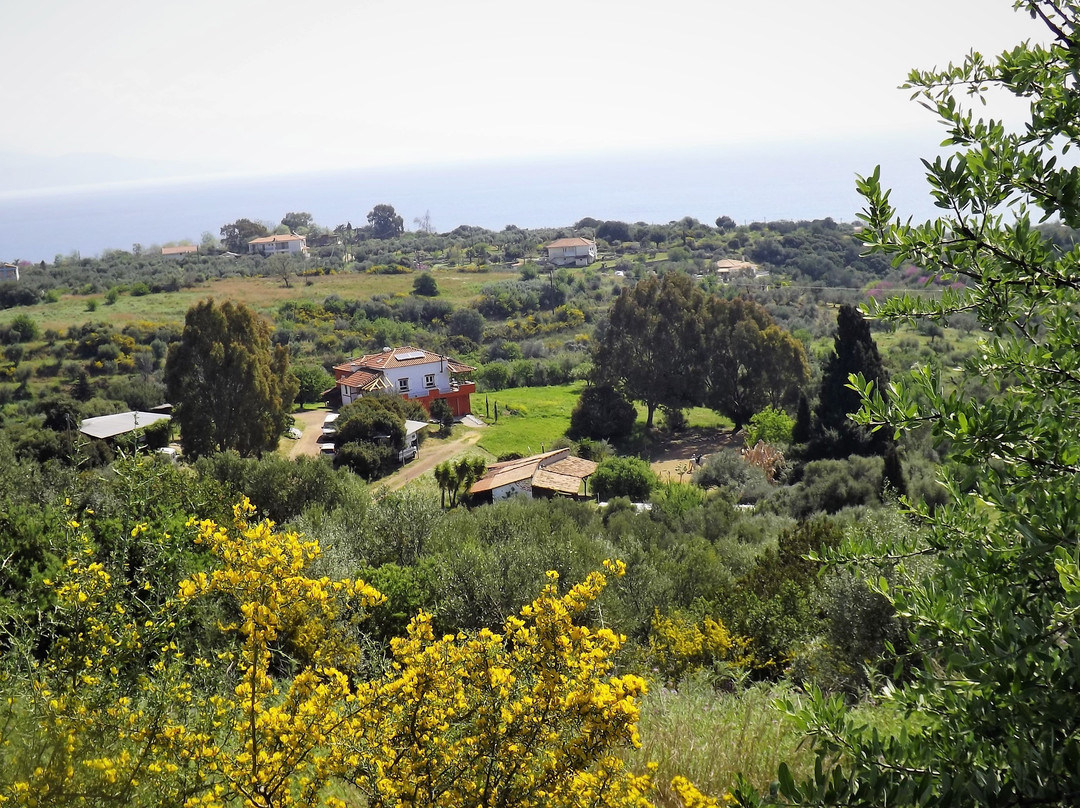 PeripetiaHorses-Chrani必去景点