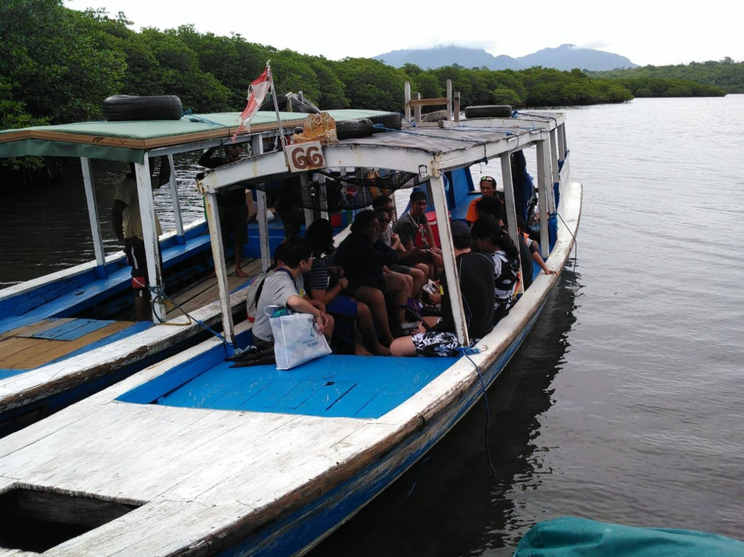 Snorkeling Menjangan Tour景点图片