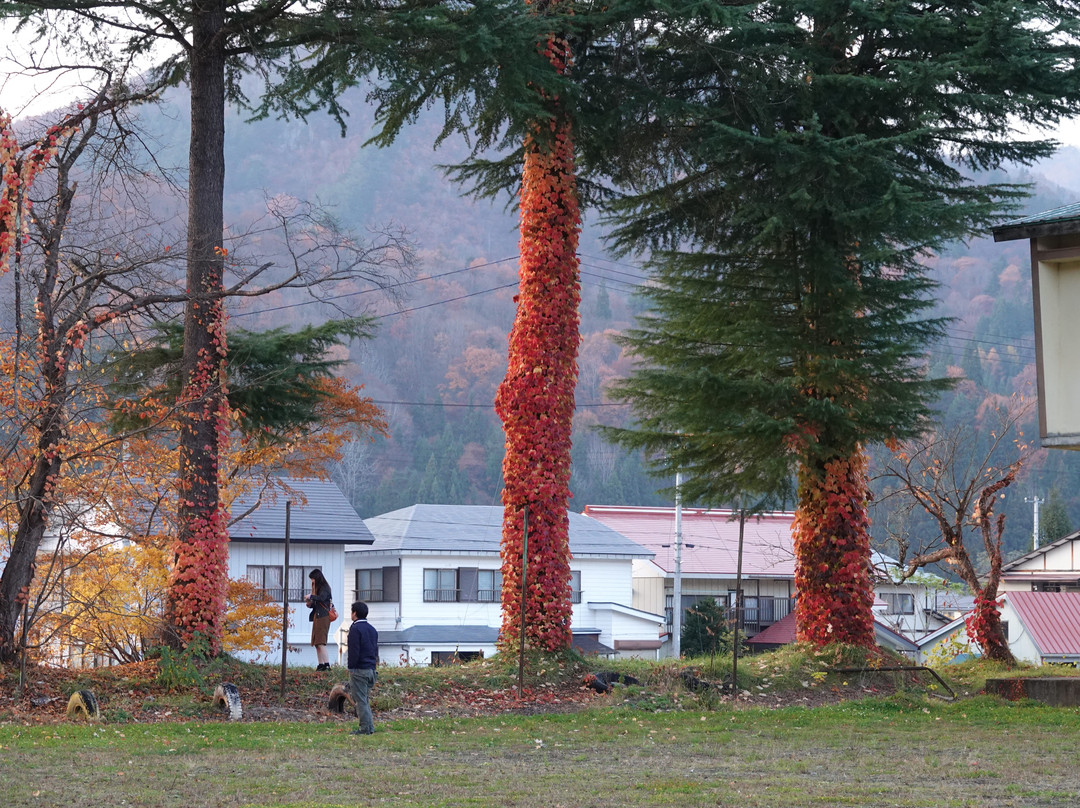 Furumachi no Oicho-南会津町必去景点