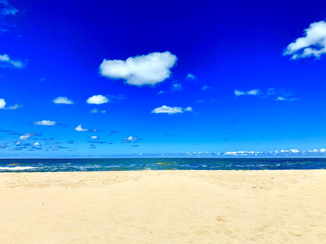 Hotel Playa Chihuahua主图