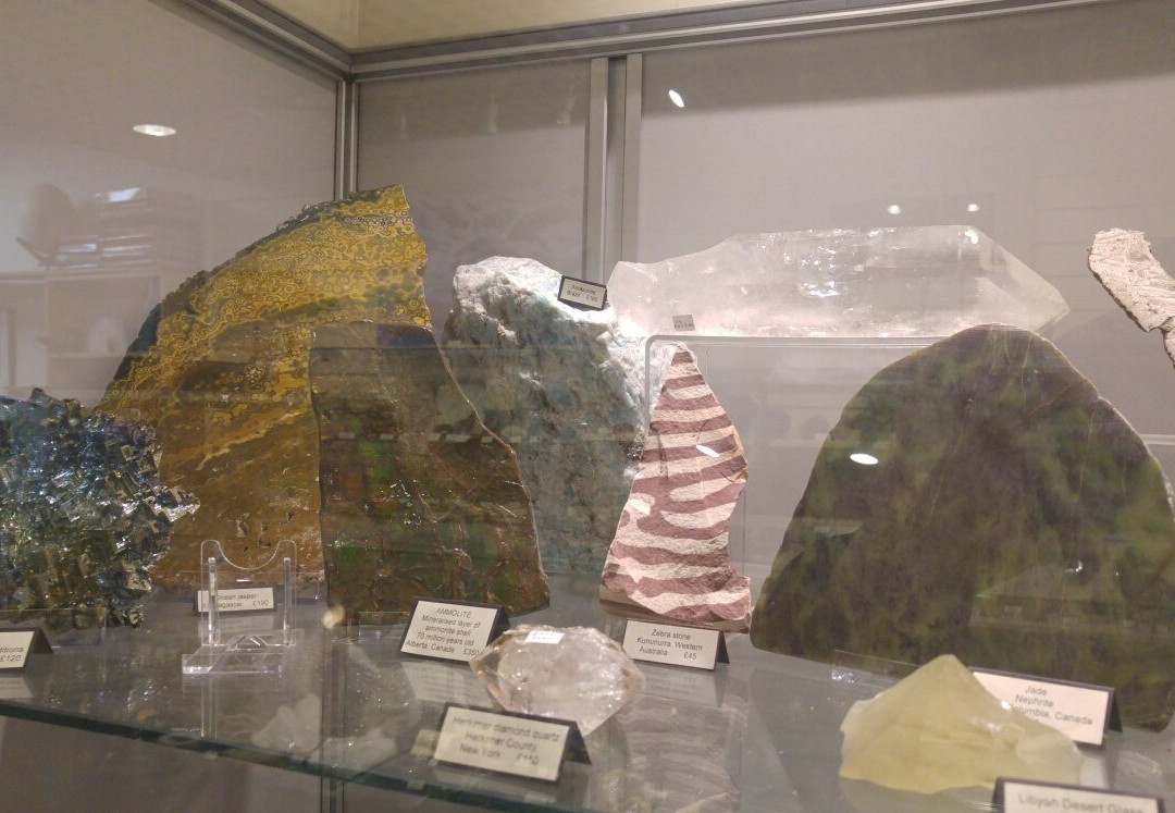 Mr Wood's Fossils-爱丁堡必去景点