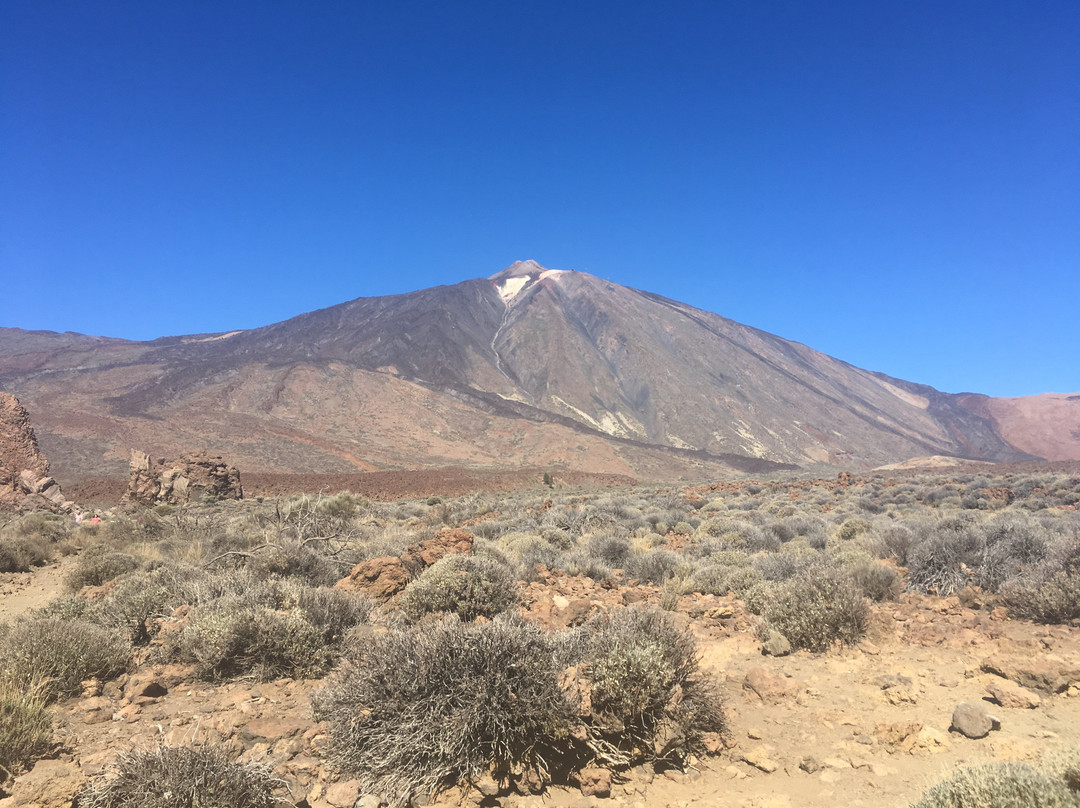 One Day In Tenerife-圣克鲁斯-德特内里费必去景点