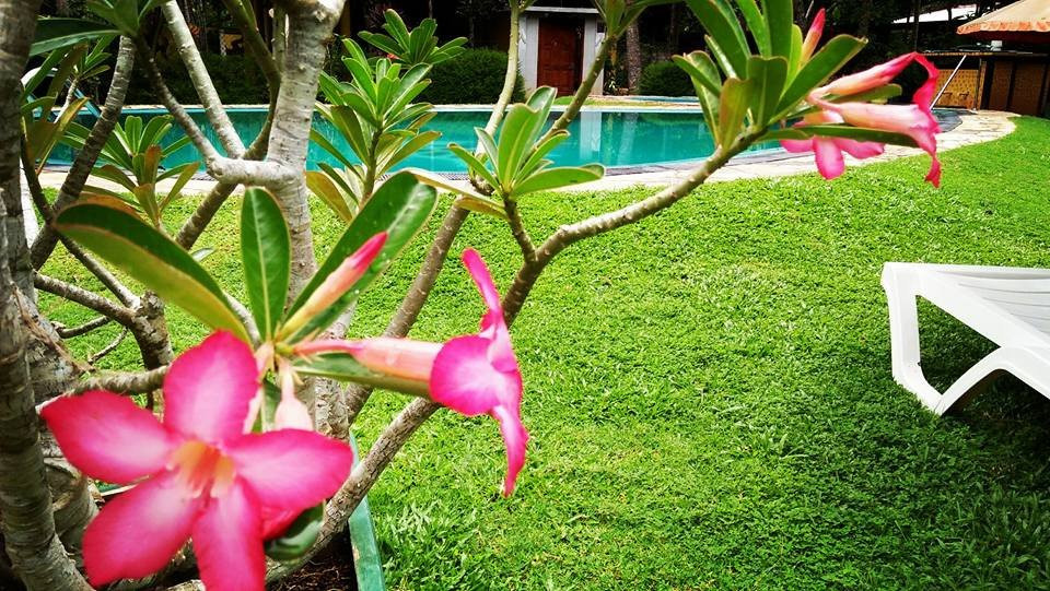 Traumvilla Bentota主图