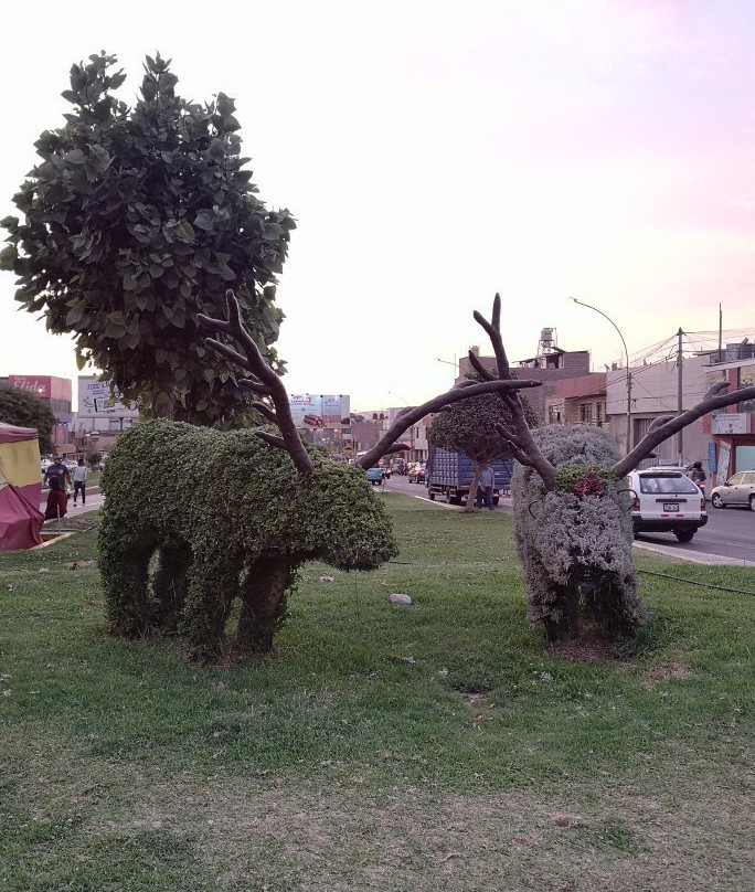 Bosque Municipal De Tacna-塔克纳必去景点