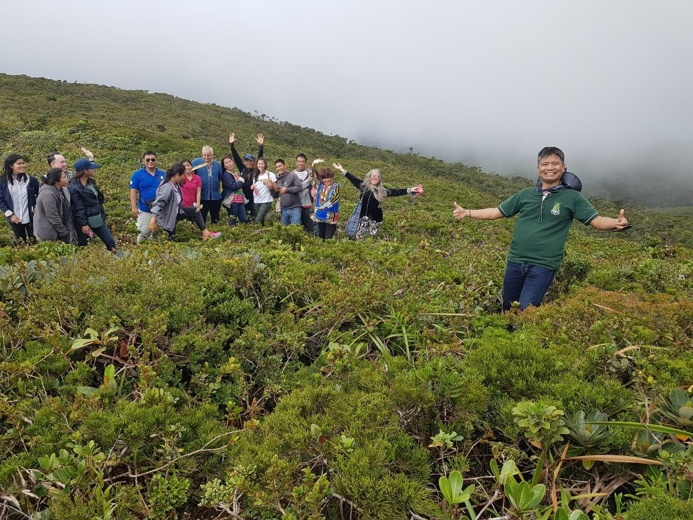Mount Redondo Natural Bonsai Forest-Loreto必去景点