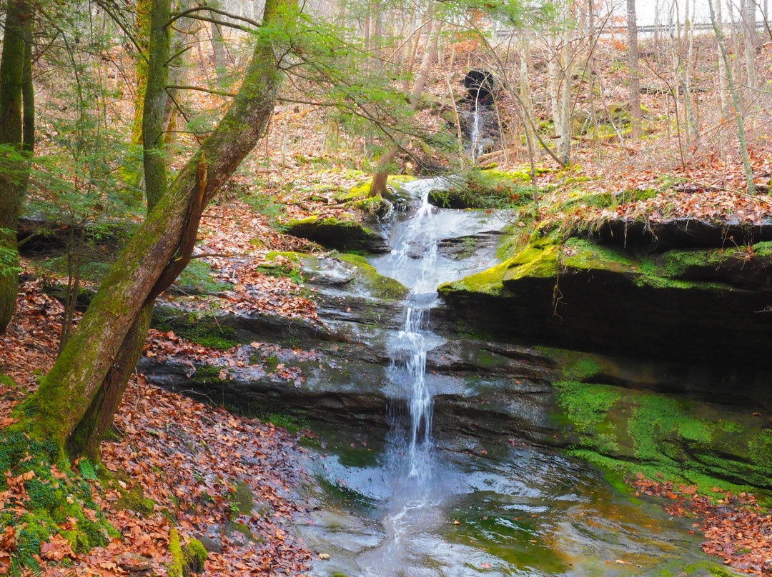 Boch Hollow State Nature Preserve-洛根必去景点