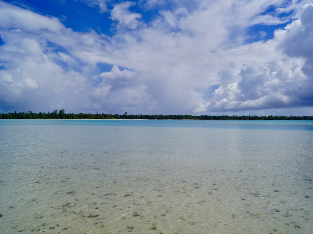 Pension Tautiare Village主图