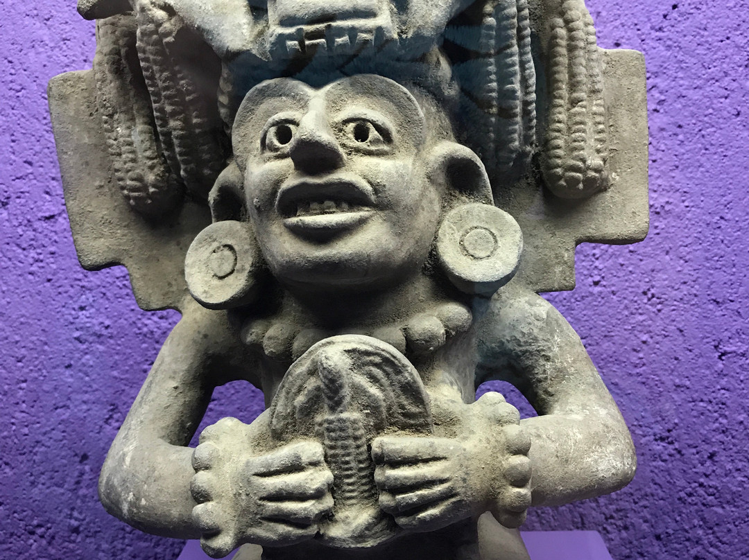 Museo de Arte Prehispánico de México-瓦哈卡必去景点