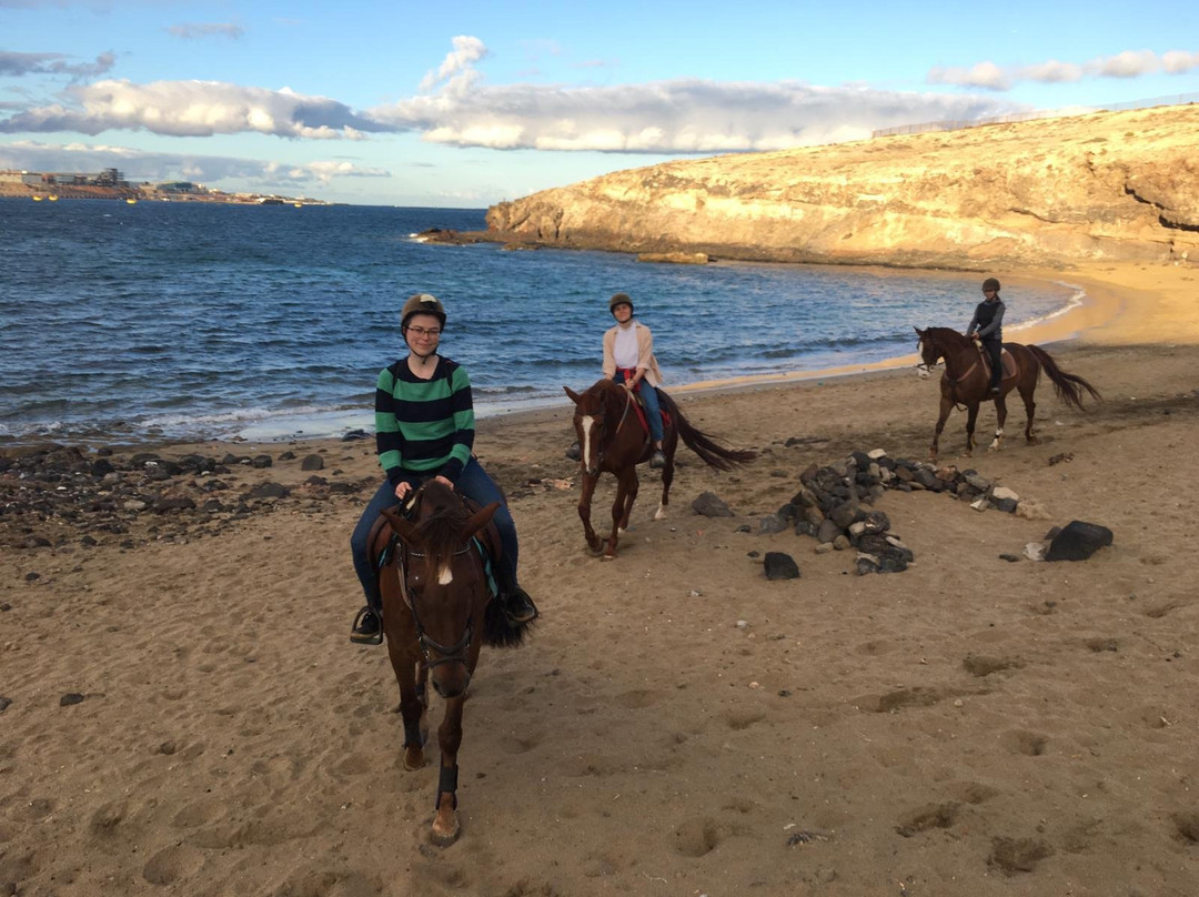 Horse Riding Canaria景点图片