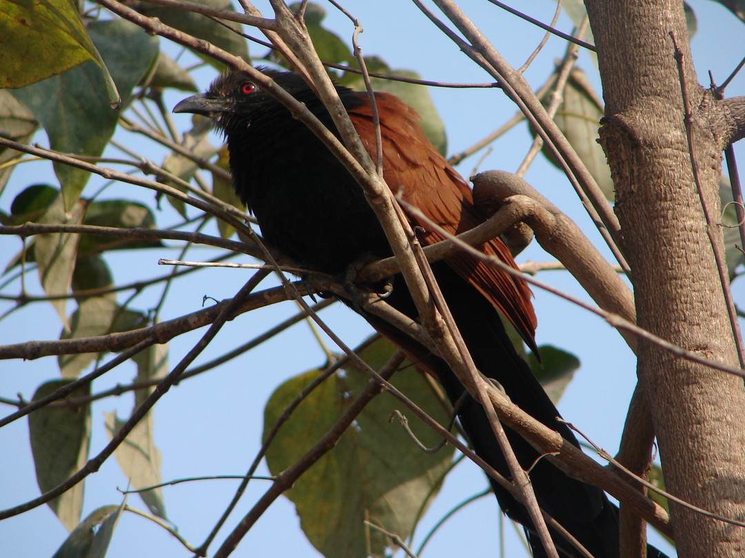 MPT Marble Rocks - Bhedaghat主图