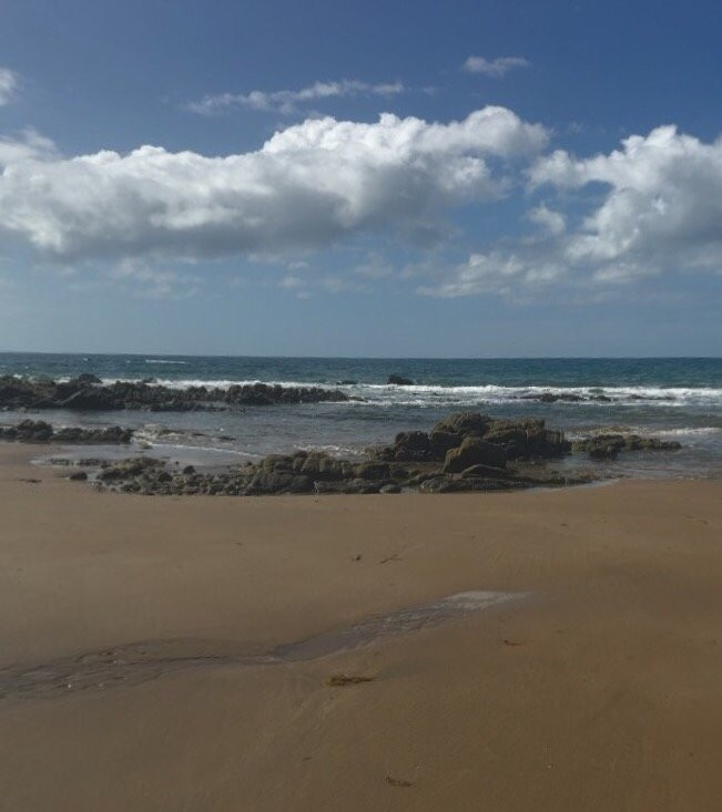 Curtis Island National Park and Regional Park-Gladstone必去景点